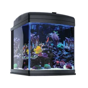 JBJ Aquarium 28 Gallon All Inclusive