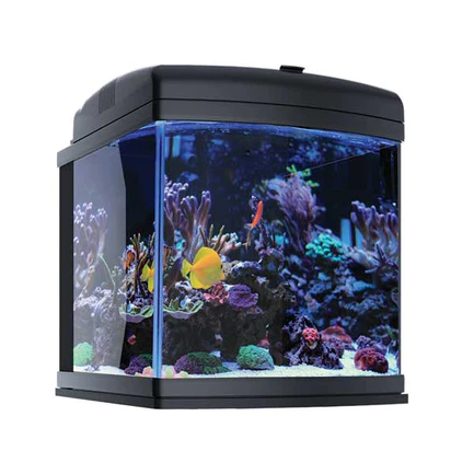1-1.webp JBJ Aquarium 28 Gallon All Inclusive