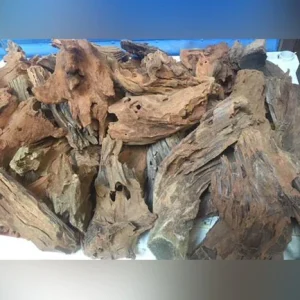 63-3.webp Madagascar Driftwood