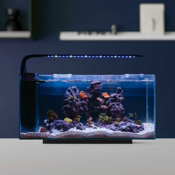 JBJ-8-Gallon-Complete-Aquarium2_68834458-08ce-4cb5-87ef-d78154018864.jpg 10 Gallon Premium Complete Aquarium Set