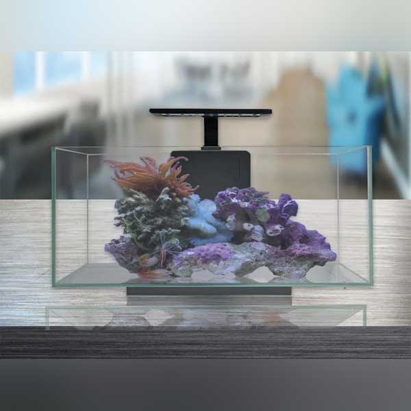 JBJ-8-Gallon-Complete-Aquarium3_cfc37b31-543f-4f49-895e-98b35d92c7f2.jpg 10 Gallon Premium Complete Aquarium Set