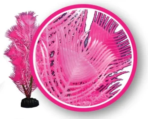 Pink Princess Feather